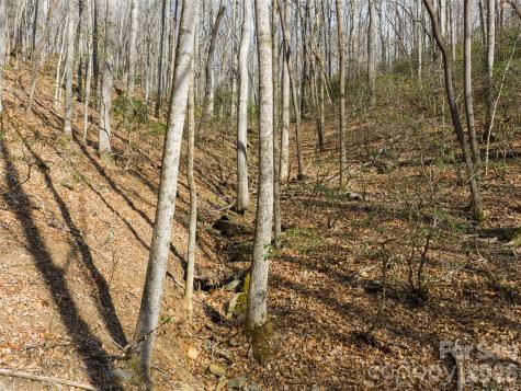 40 Cedar Drive Mills River NC 28759