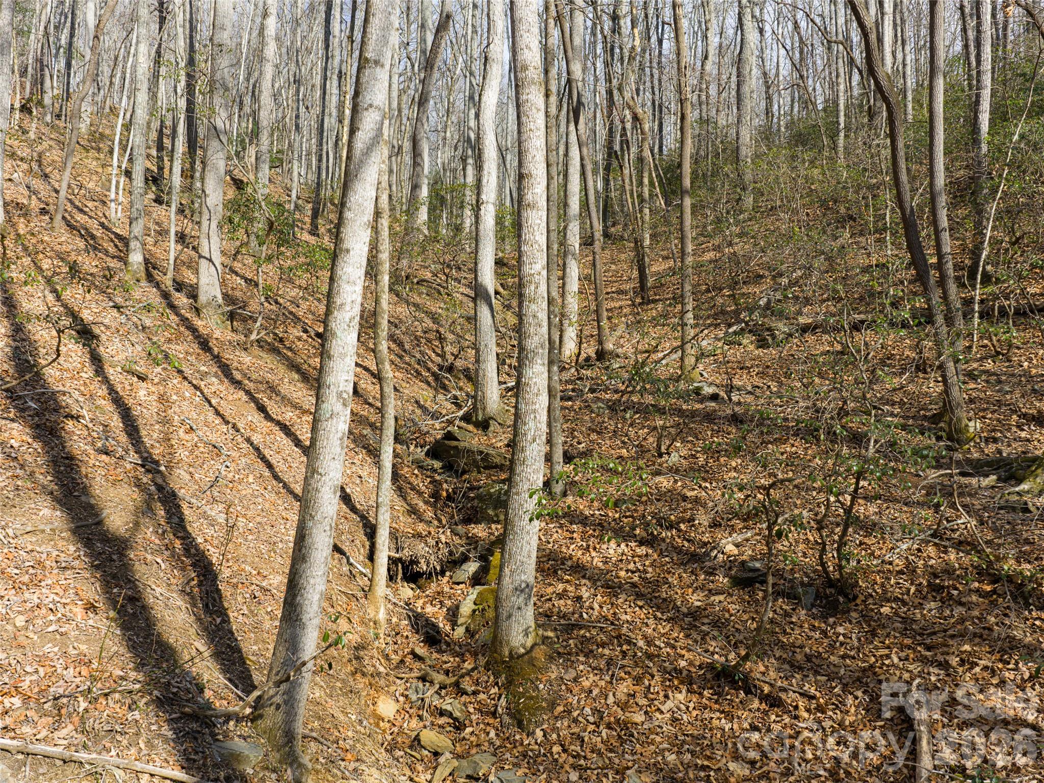 40 Cedar Drive Mills River NC 28759