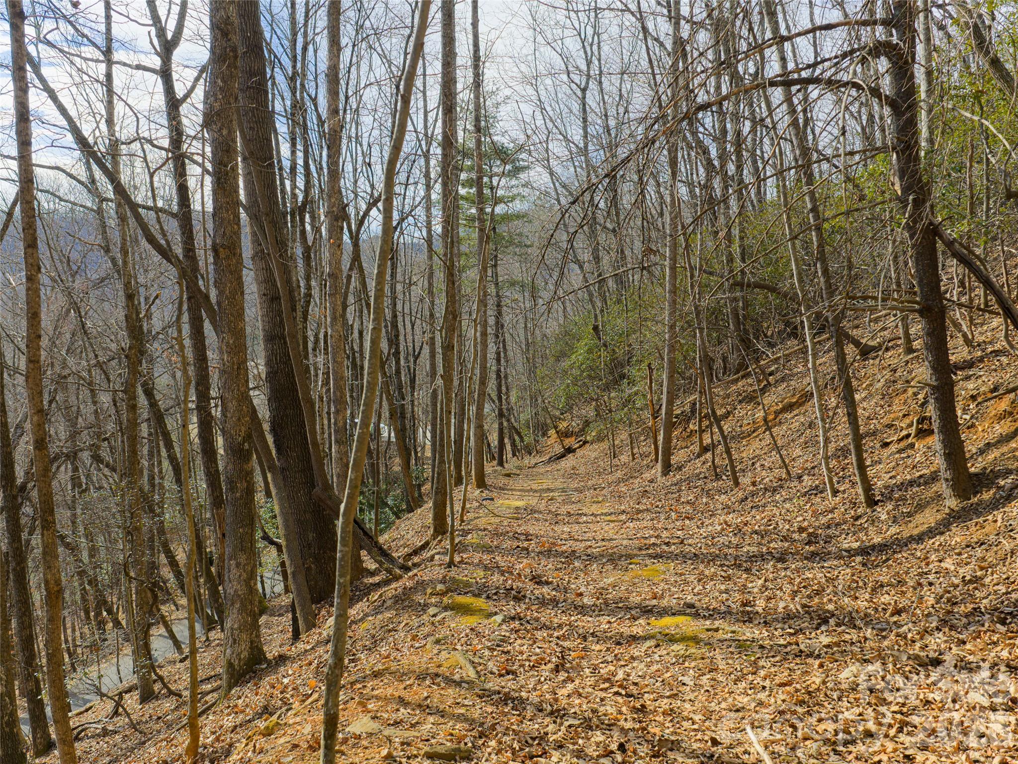 40 Cedar Drive Mills River NC 28759