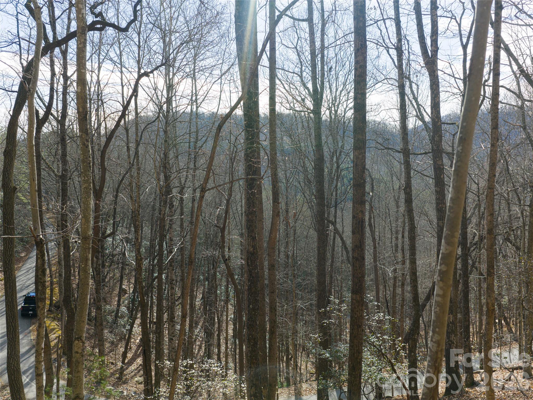 40 Cedar Drive Mills River NC 28759