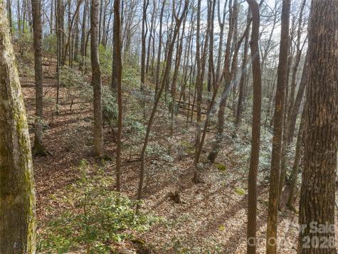 40 Cedar Drive Mills River NC 28759