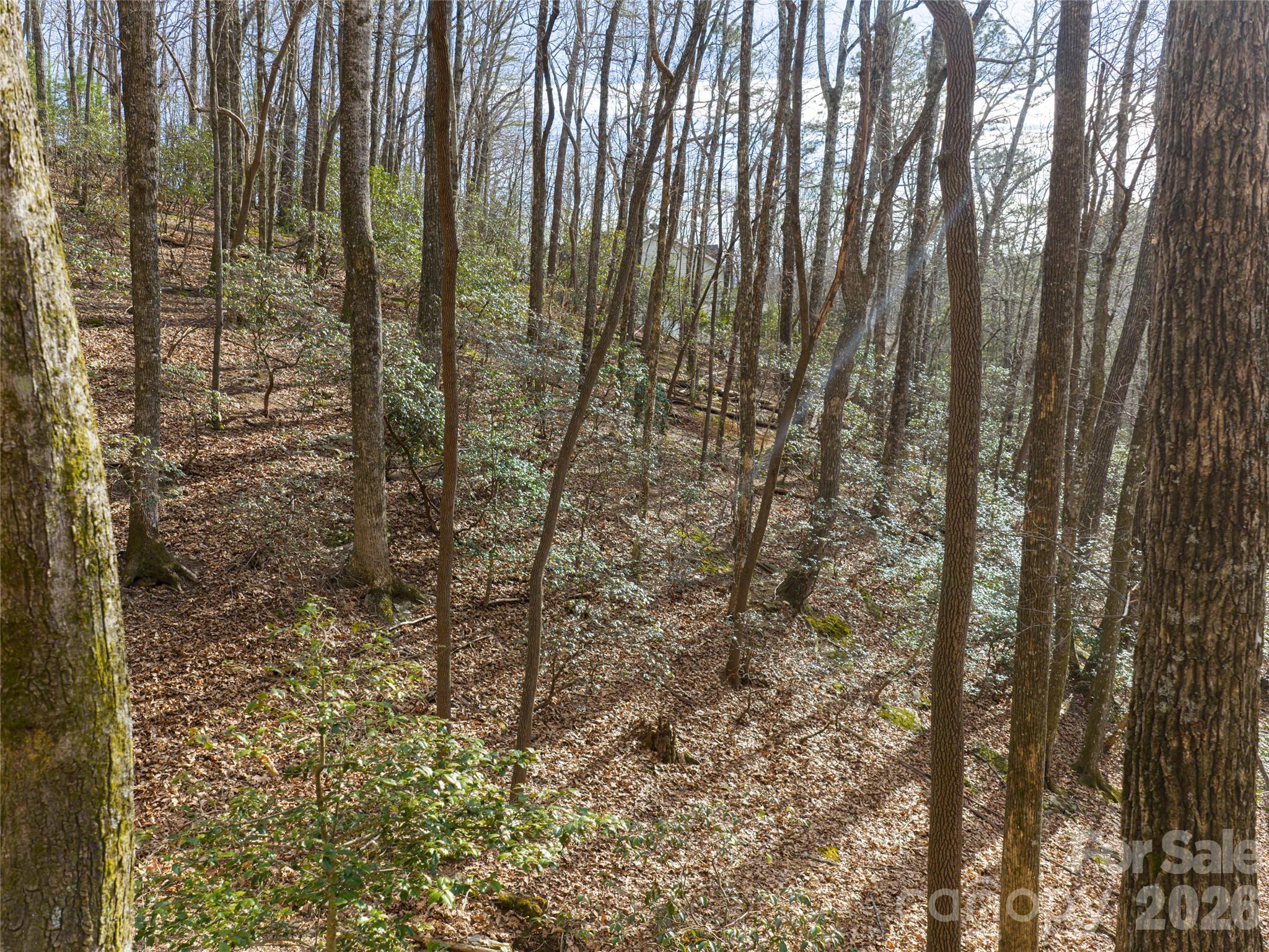 40 Cedar Drive Mills River NC 28759