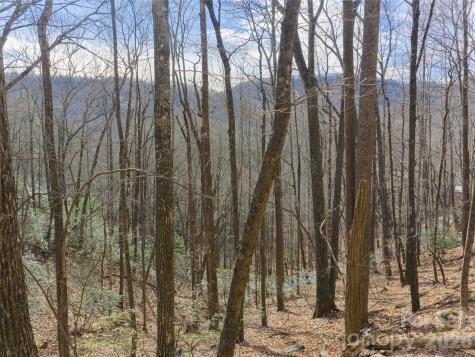 40 Cedar Drive Mills River NC 28759