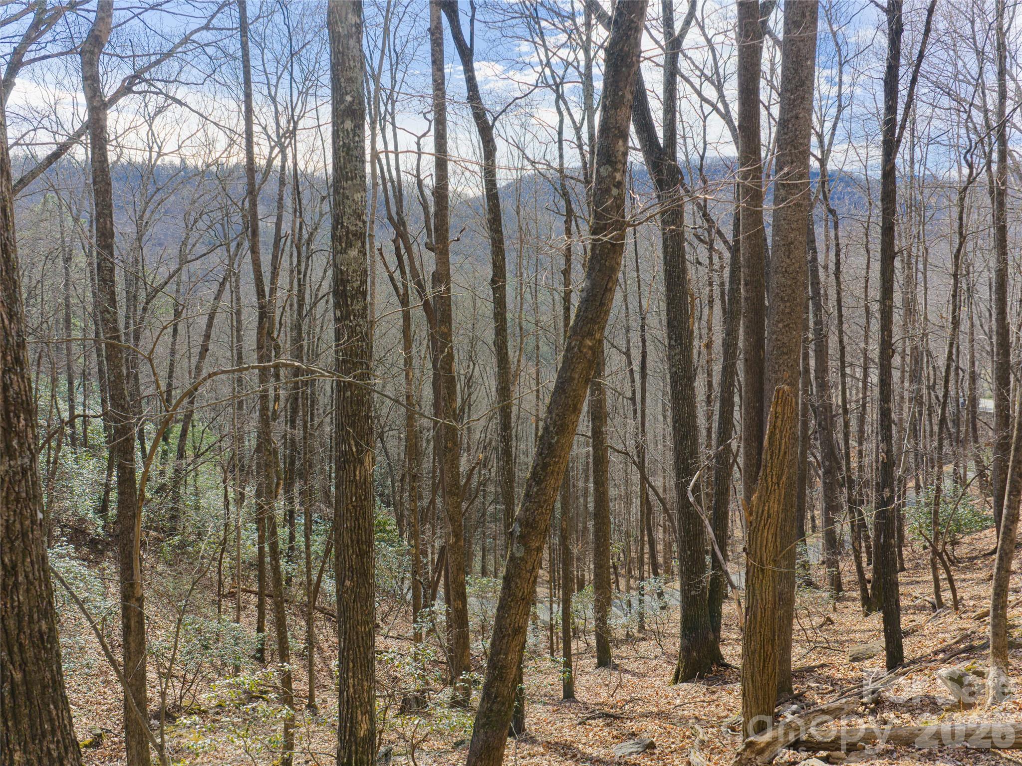 40 Cedar Drive Mills River NC 28759