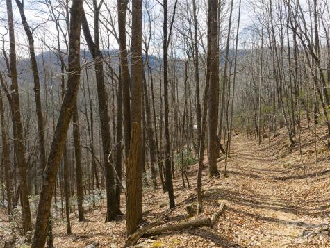 40 Cedar Drive Mills River NC 28759