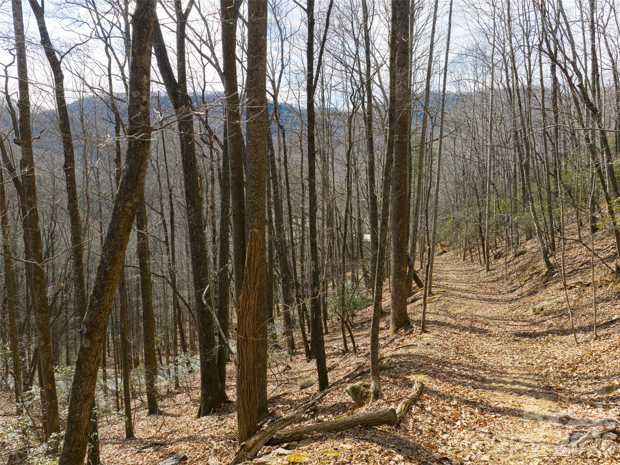 40 Cedar Drive Mills River NC 28759