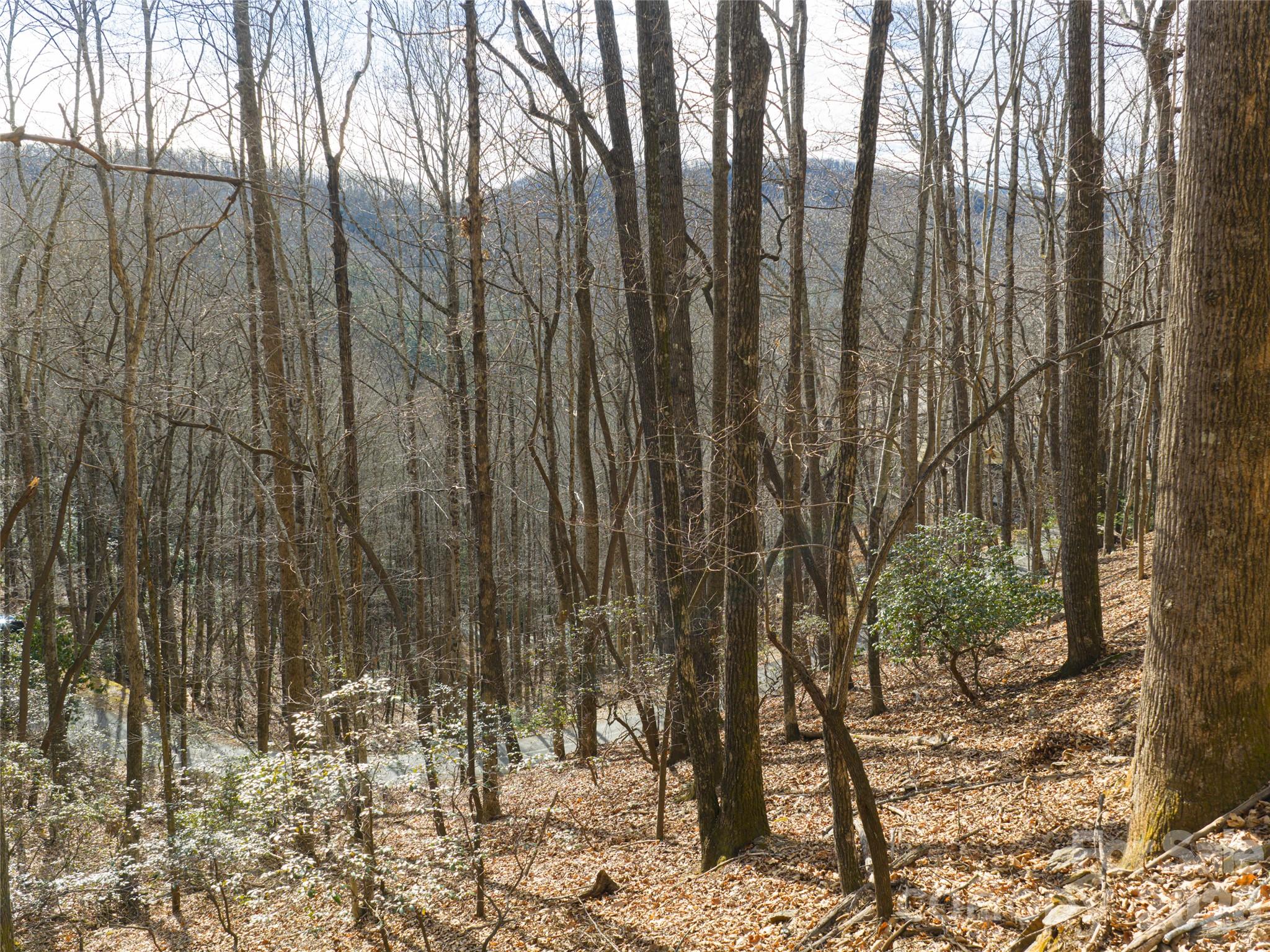 40 Cedar Drive Mills River NC 28759