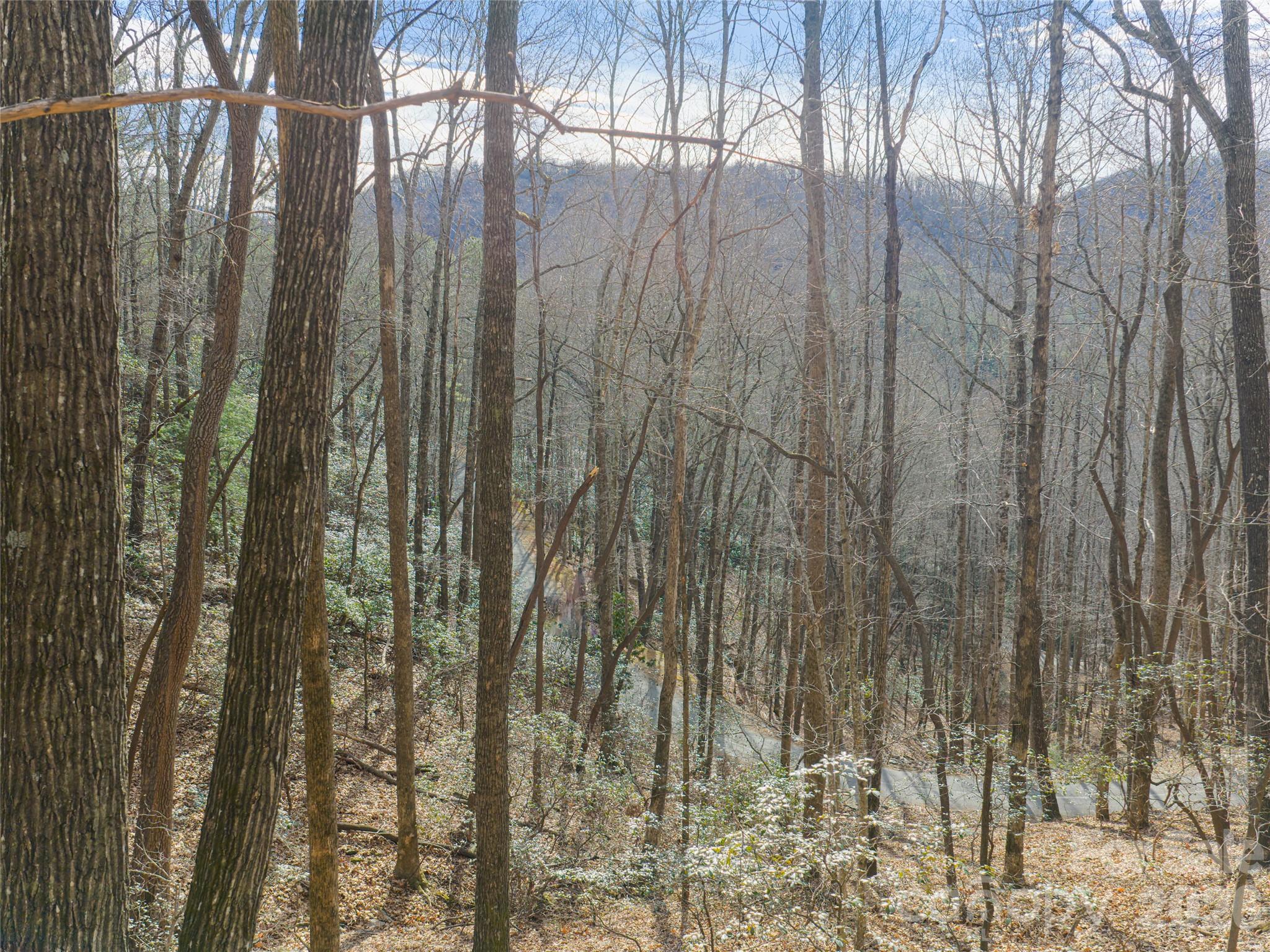 40 Cedar Drive Mills River NC 28759