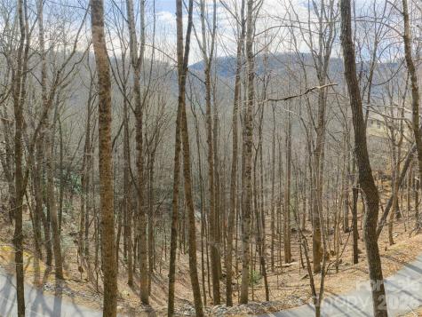 40 Cedar Drive Mills River NC 28759