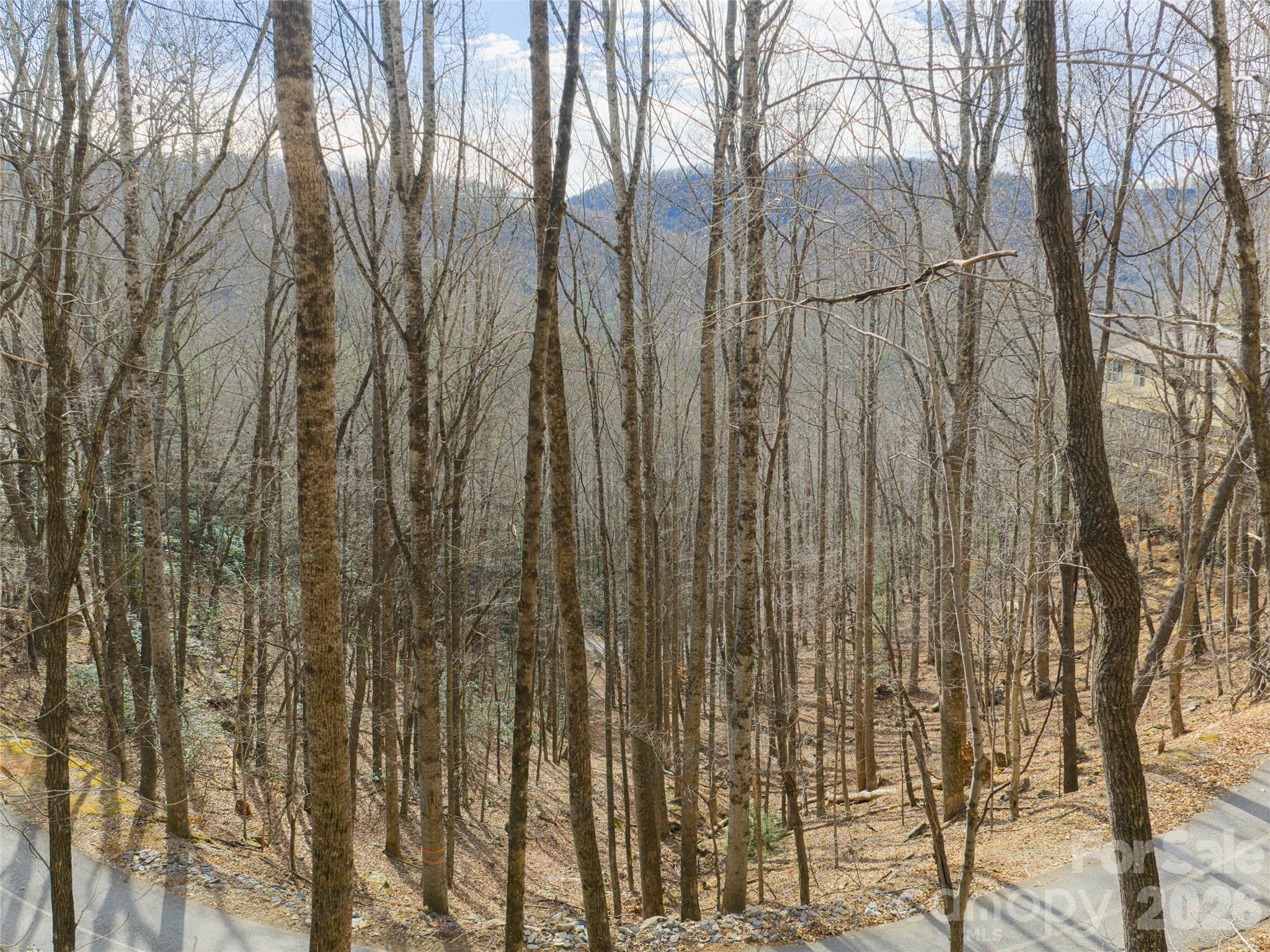40 Cedar Drive Mills River NC 28759