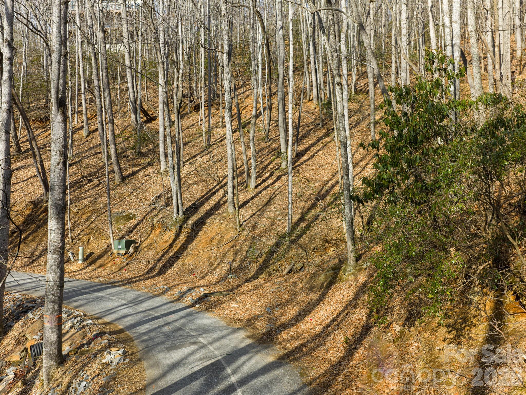 40 Cedar Drive Mills River NC 28759