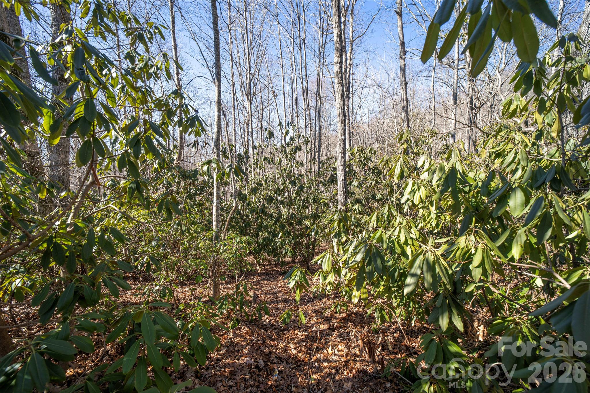 2310 Golf Club Court Hendersonville NC 28739