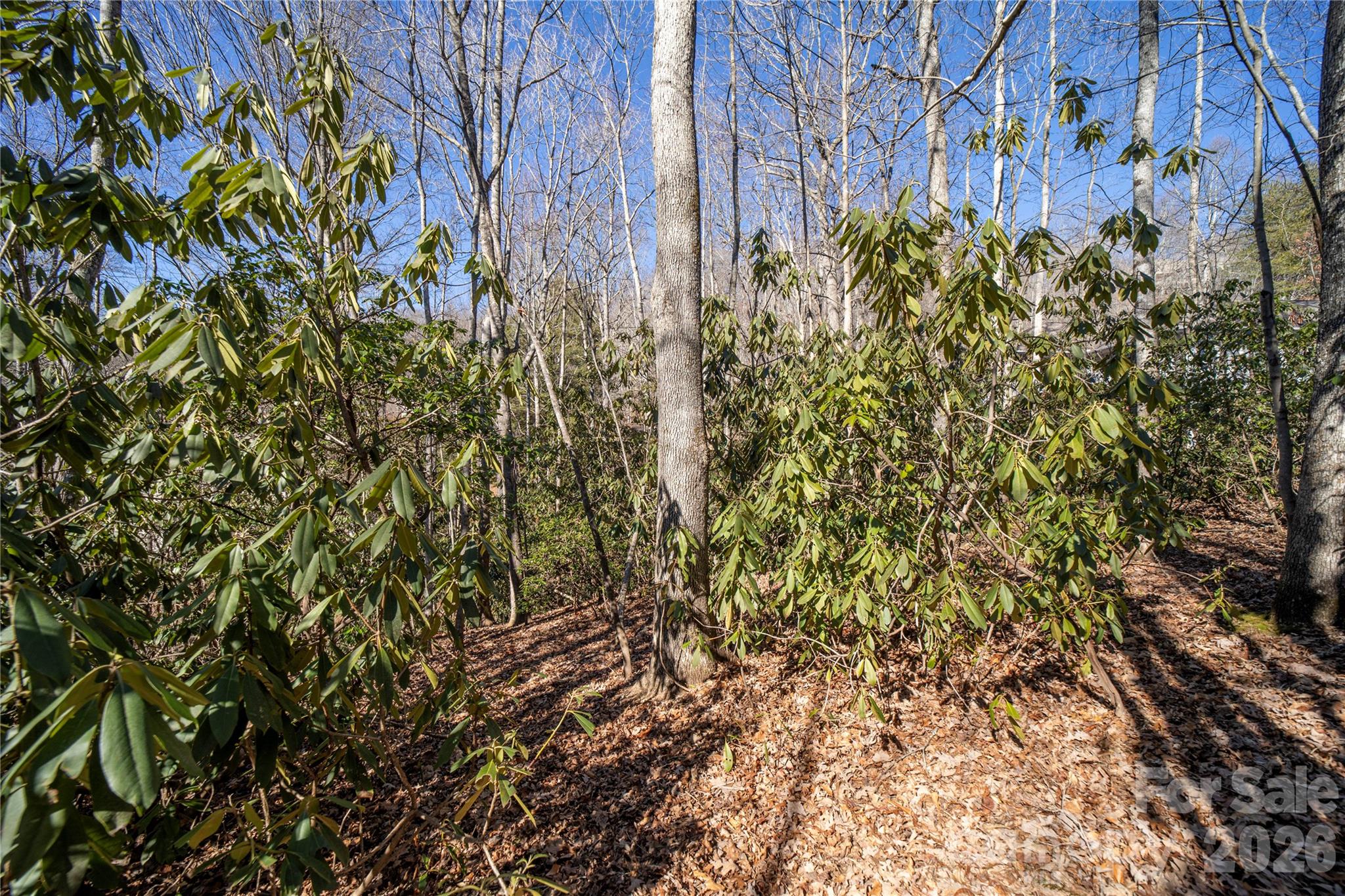2310 Golf Club Court Hendersonville NC 28739
