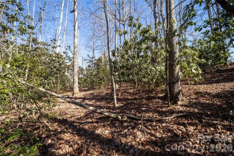 2310 Golf Club Court Hendersonville NC 28739
