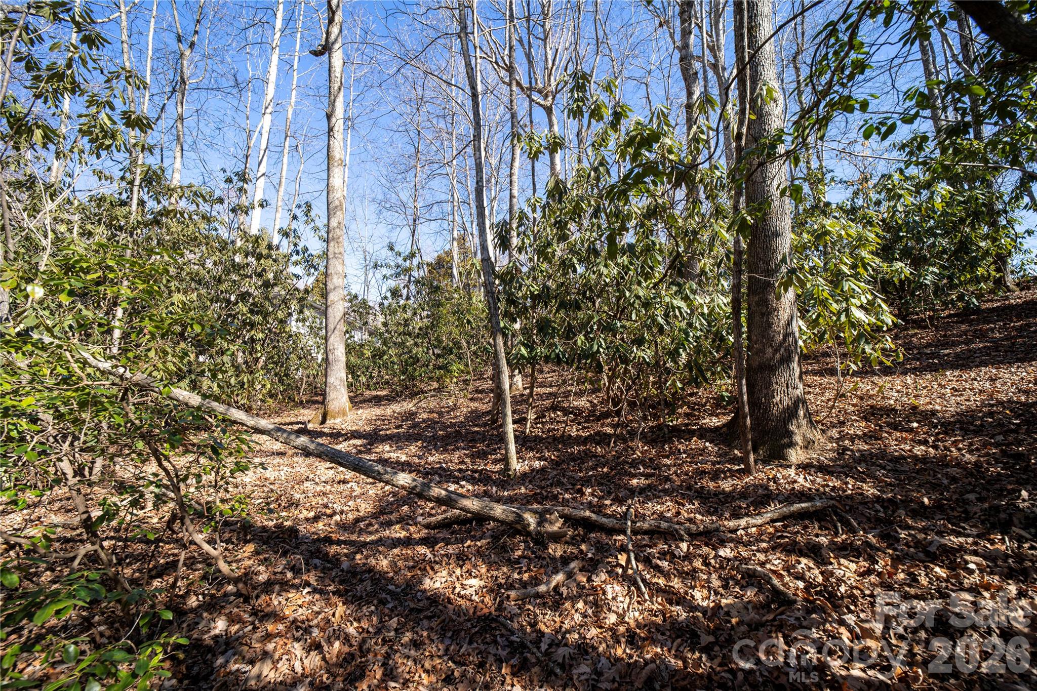 2310 Golf Club Court Hendersonville NC 28739