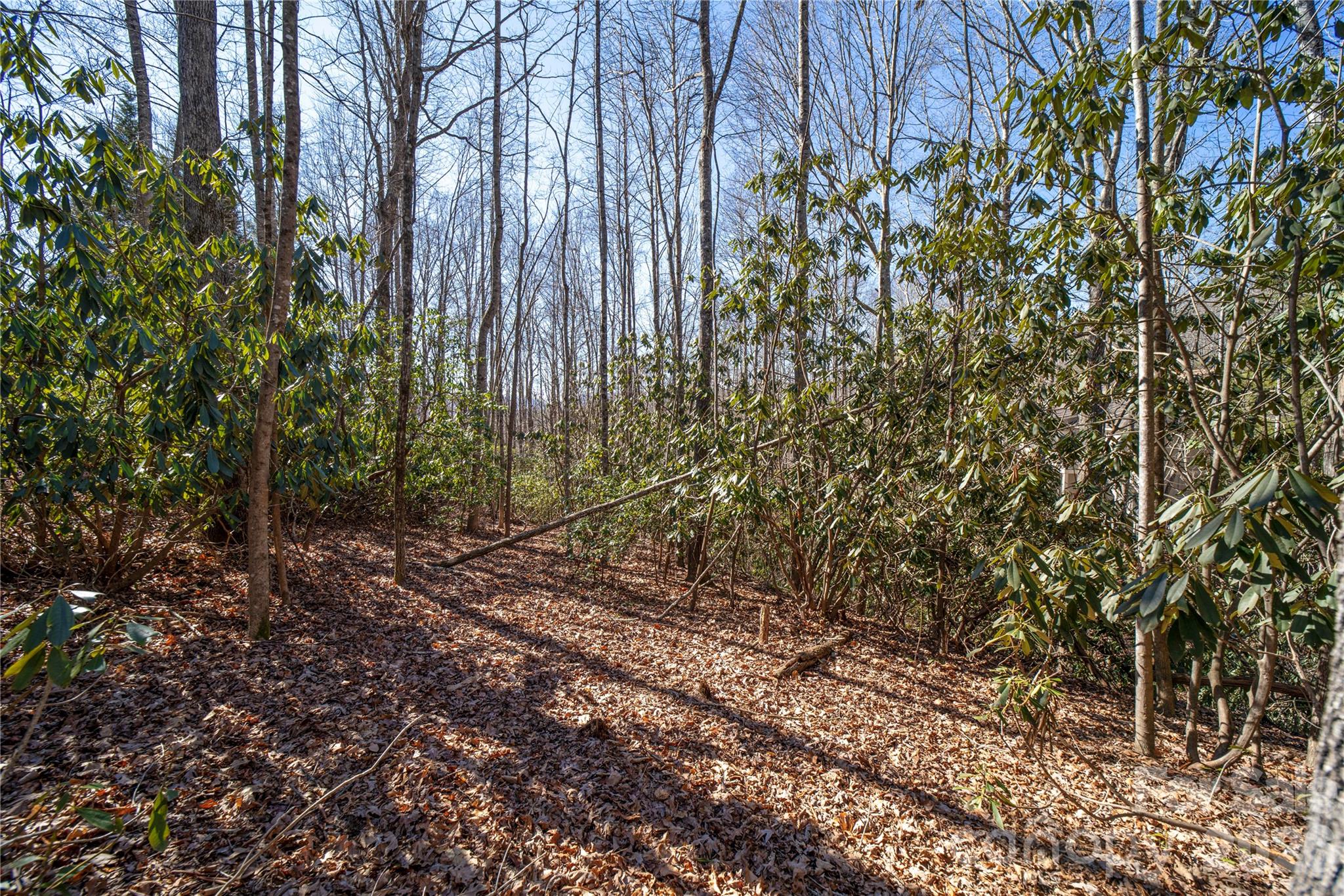 2310 Golf Club Court Hendersonville NC 28739