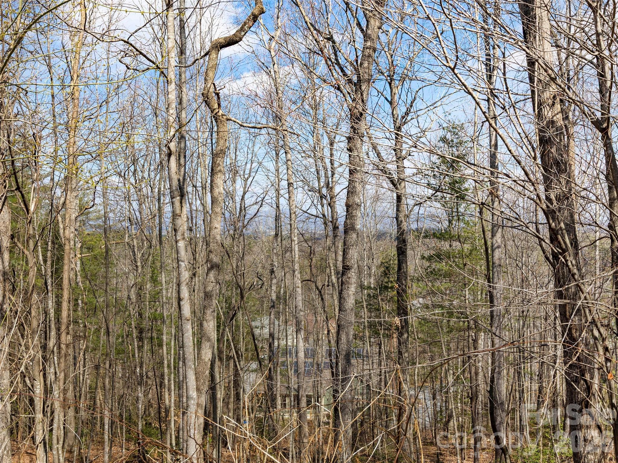 96 Turkey Roost Court Hendersonville NC 28739