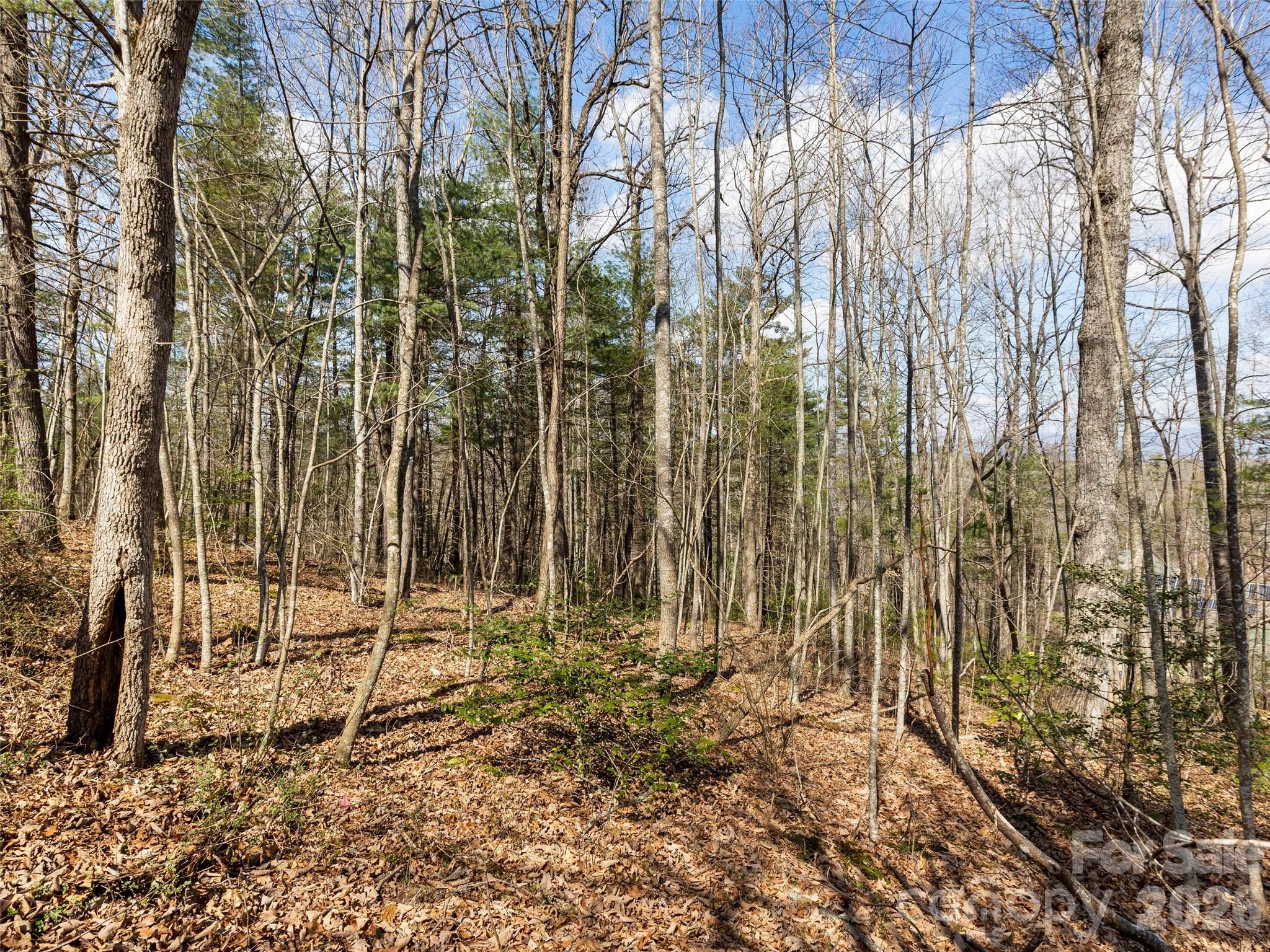 96 Turkey Roost Court Hendersonville NC 28739