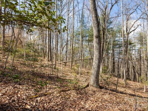 96 Turkey Roost Court Hendersonville NC 28739