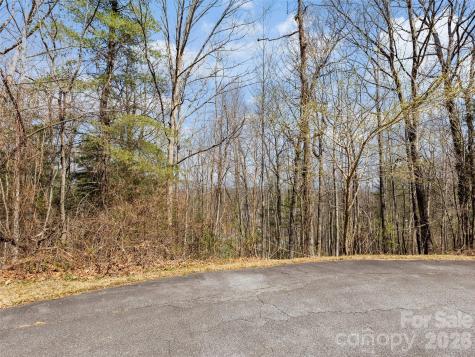 96 Turkey Roost Court Hendersonville NC 28739