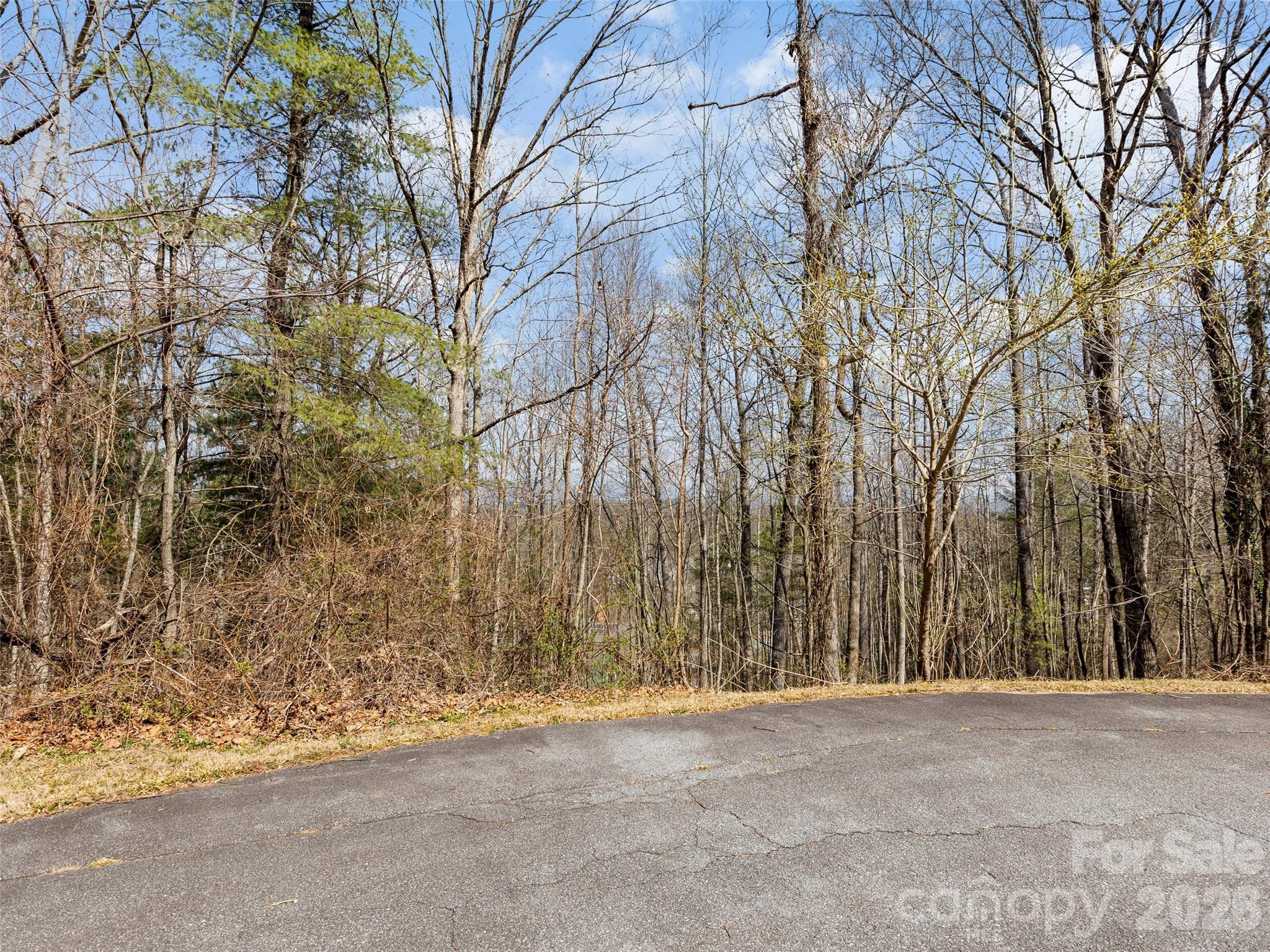 96 Turkey Roost Court Hendersonville NC 28739