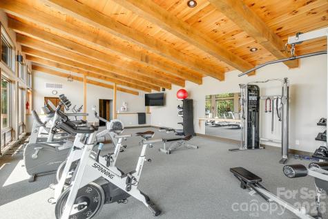 76 Dancing Wind Lane Marshall NC 28753