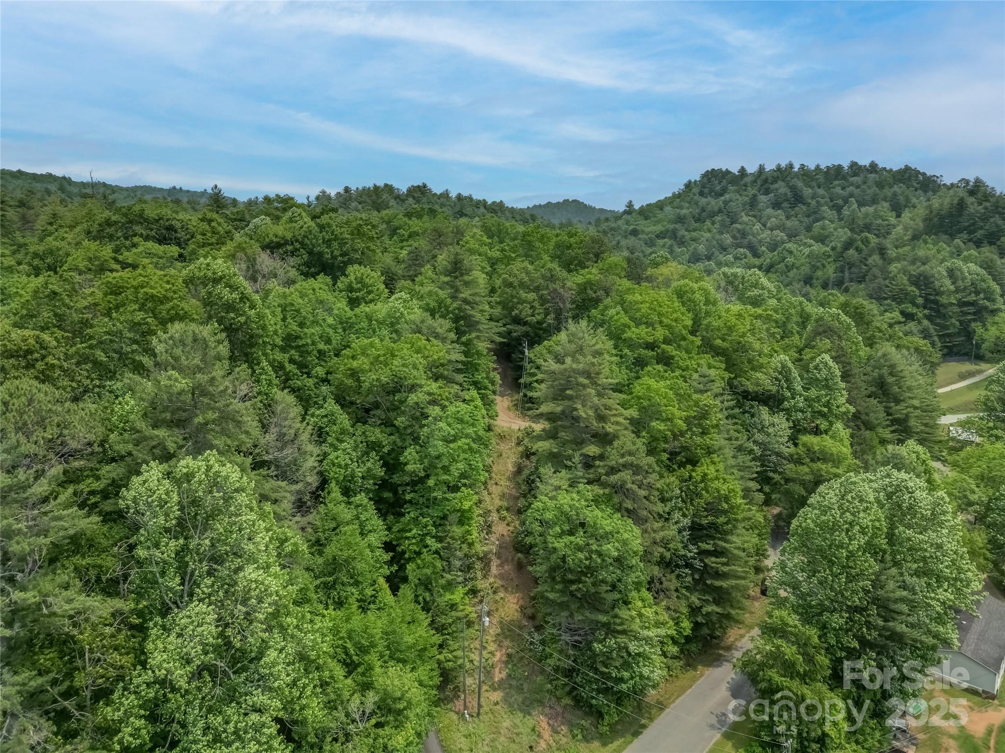 0000 Israel Road Brevard NC 28712