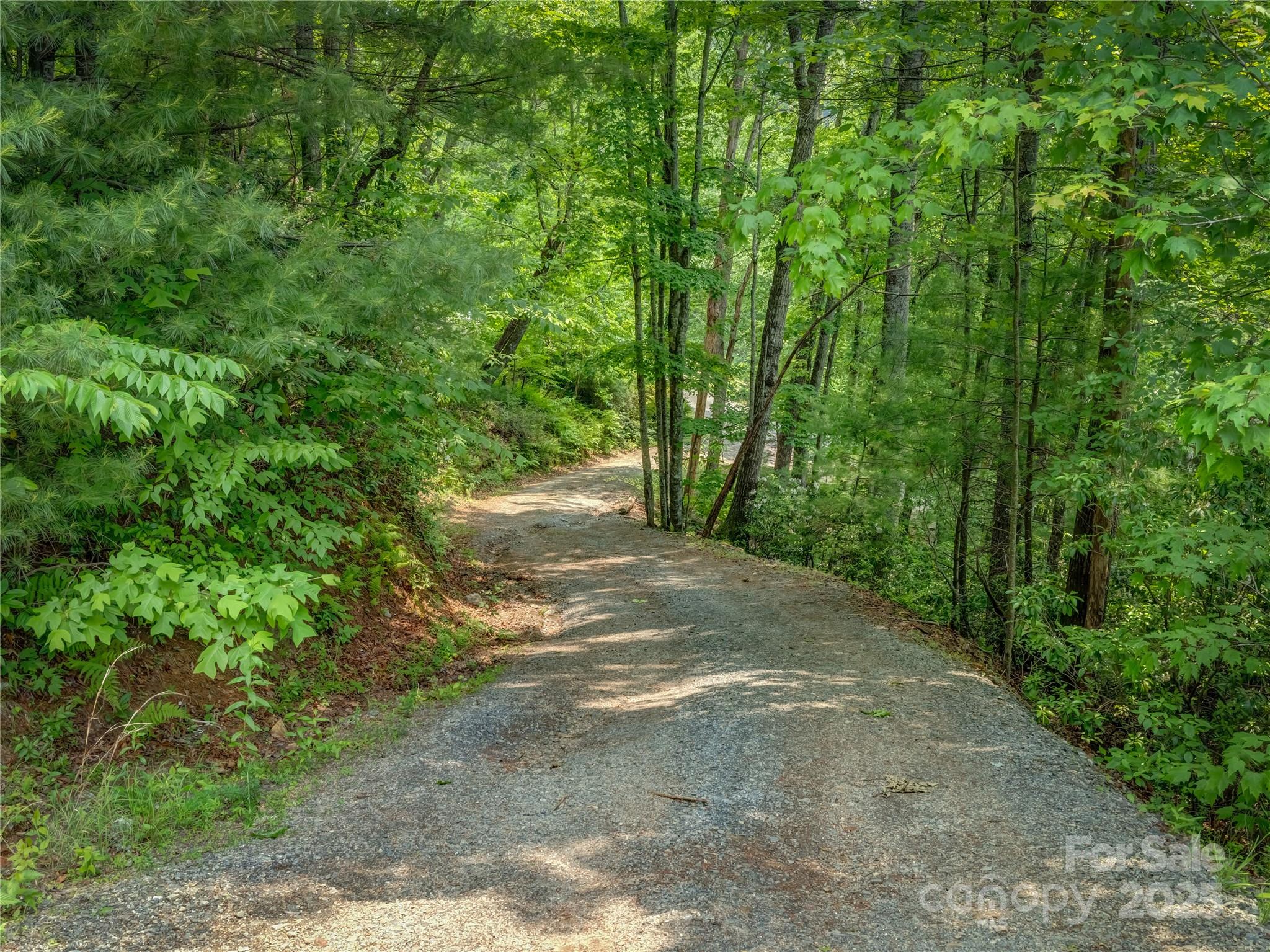 0000 Israel Road Brevard NC 28712