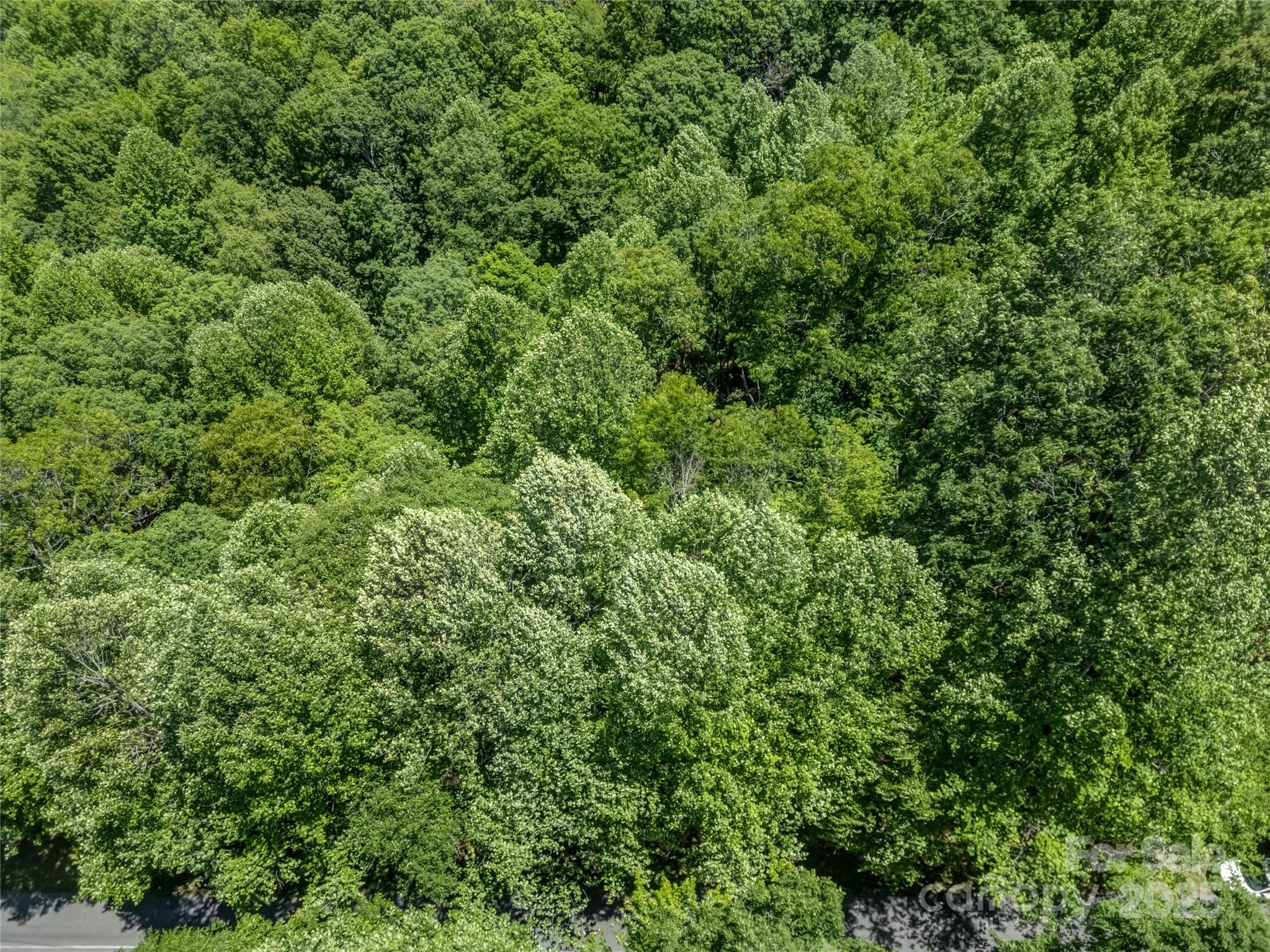 0000 Israel Road Brevard NC 28712