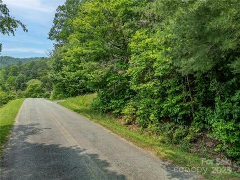 0000 Israel Road Brevard NC 28712