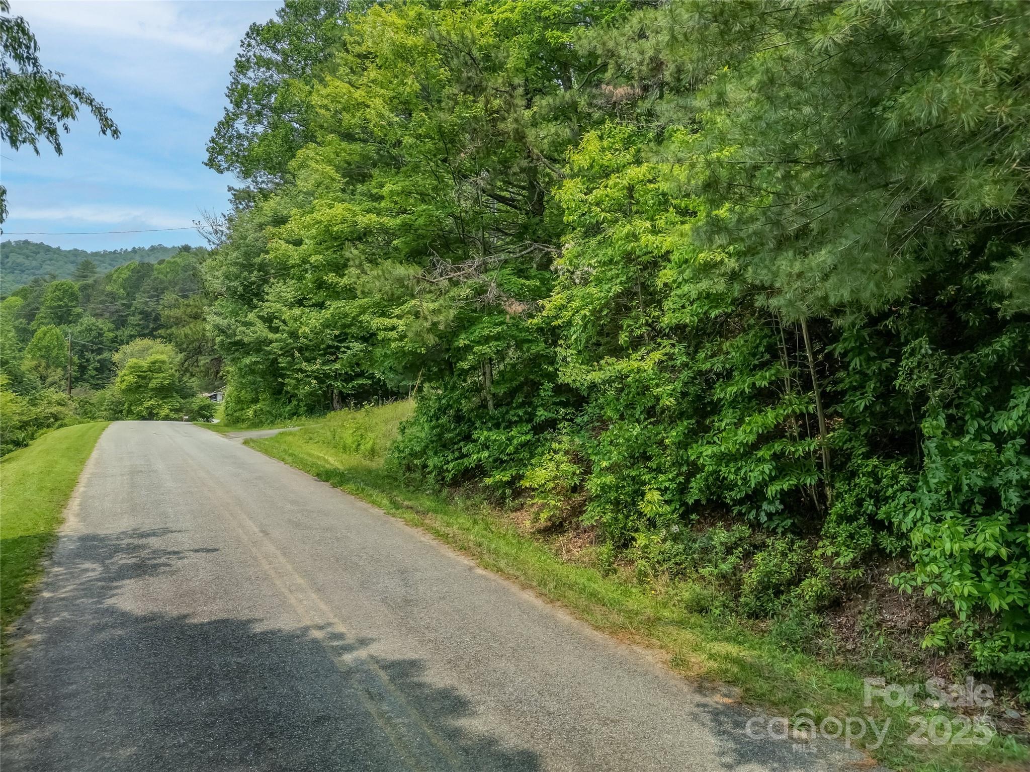0000 Israel Road Brevard NC 28712