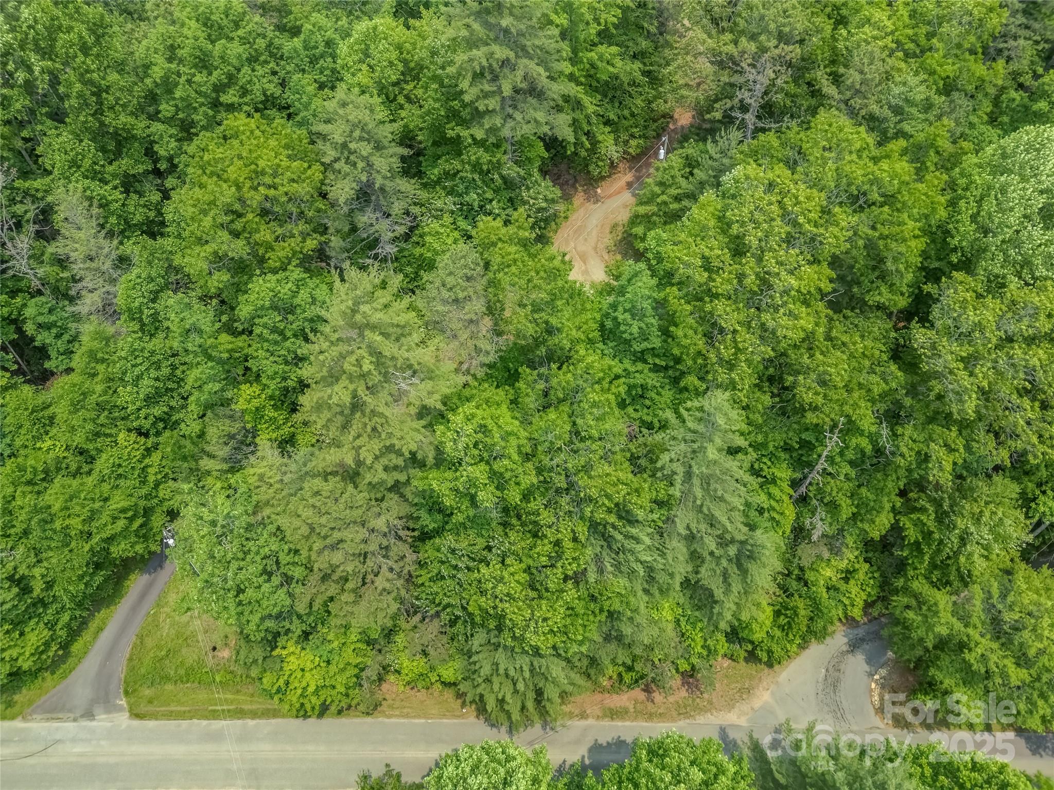 0000 Israel Road Brevard NC 28712