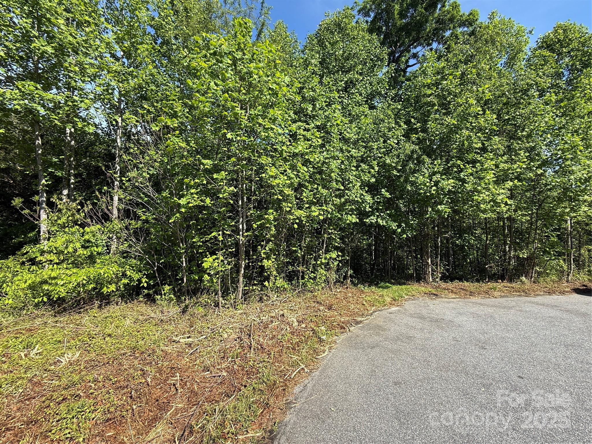 Lot 263 Riley Drive Taylorsville NC 28681