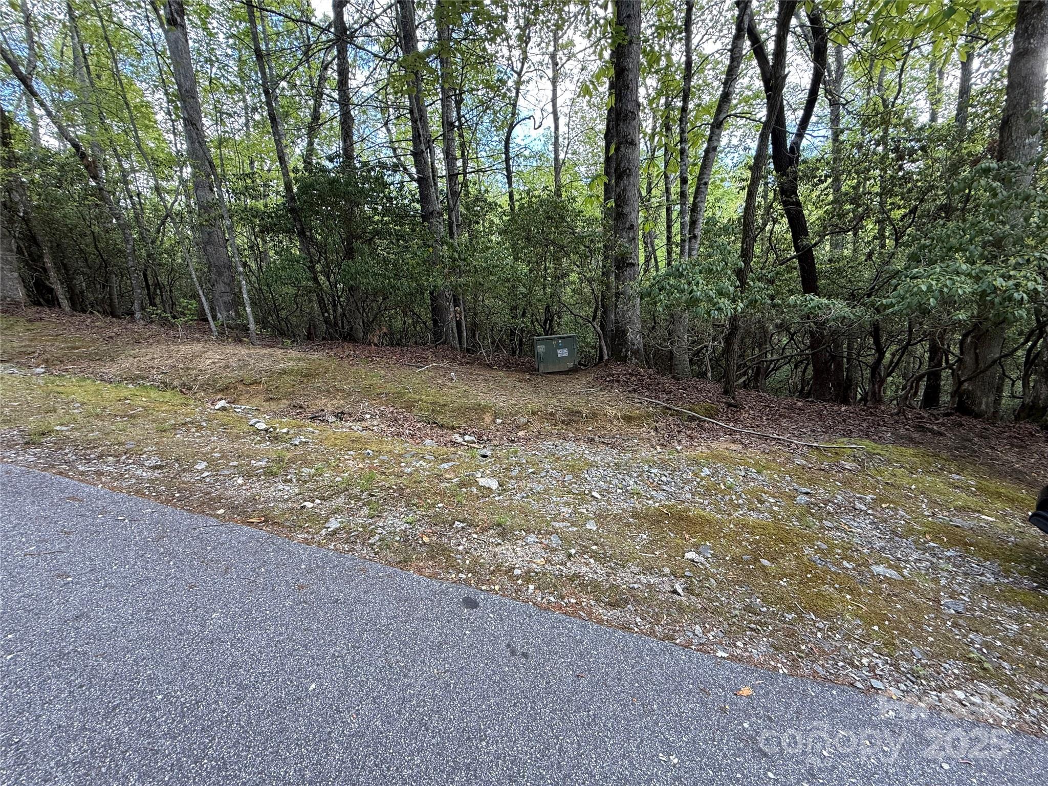 Tbd Tellico Trail Brevard NC 28712
