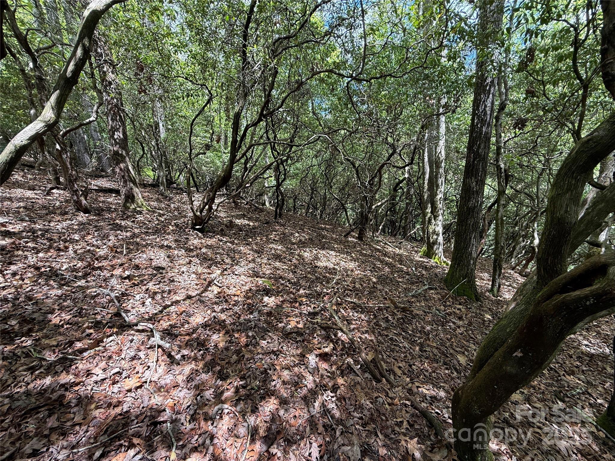 Tbd Tellico Trail Brevard NC 28712