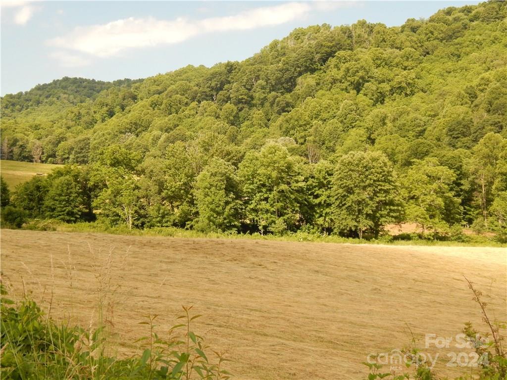 0 Nc 209 Highway Hot Springs NC 28743