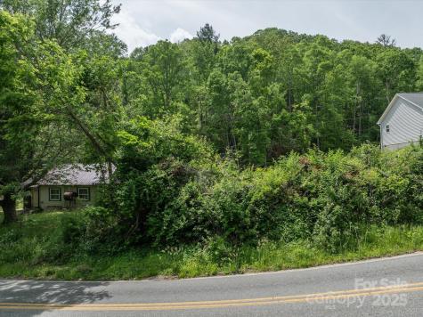 99999 Moody Cove Road Weaverville NC 28787