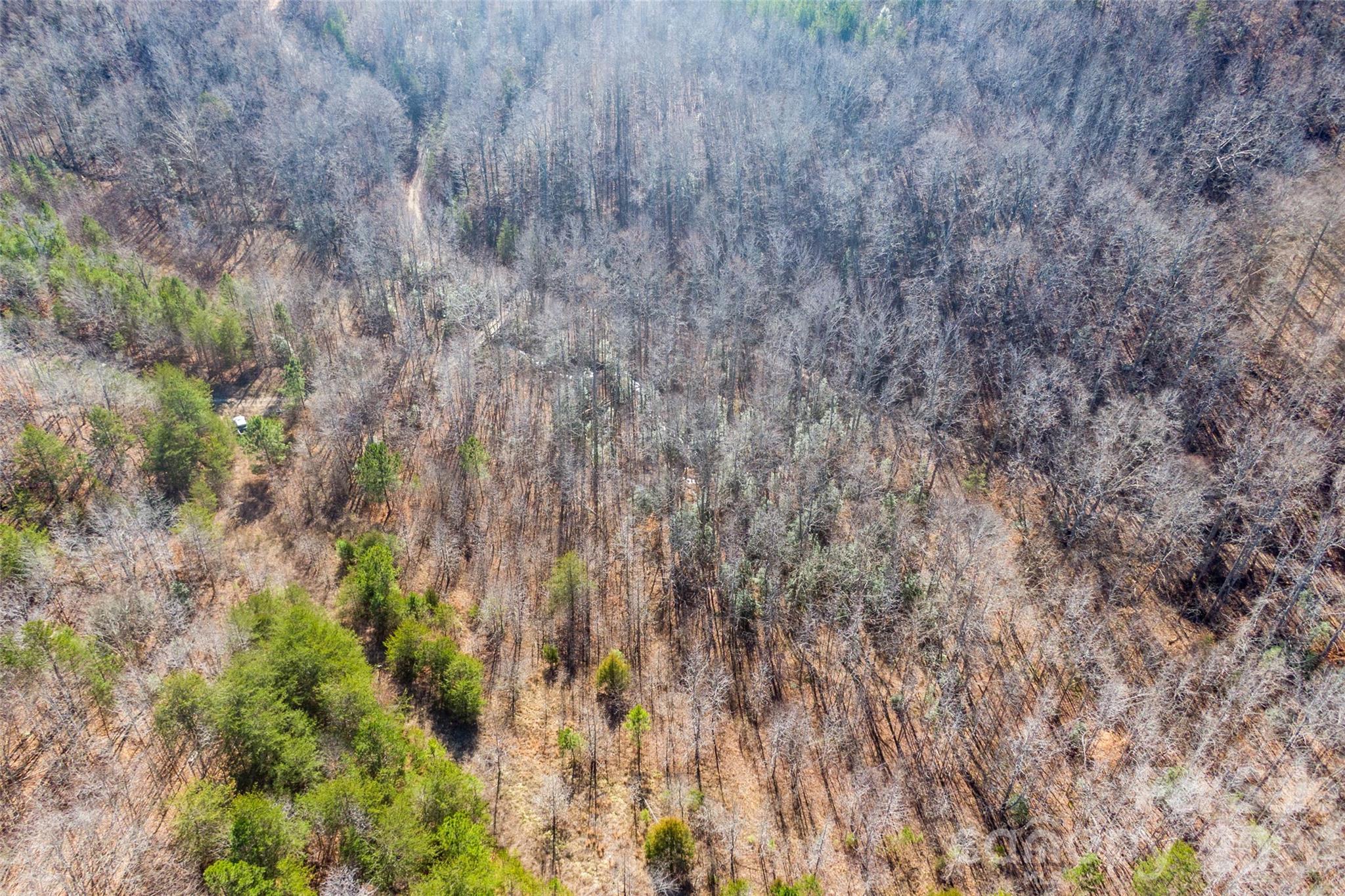 0 W Pasture Drive Ellenboro NC 28040