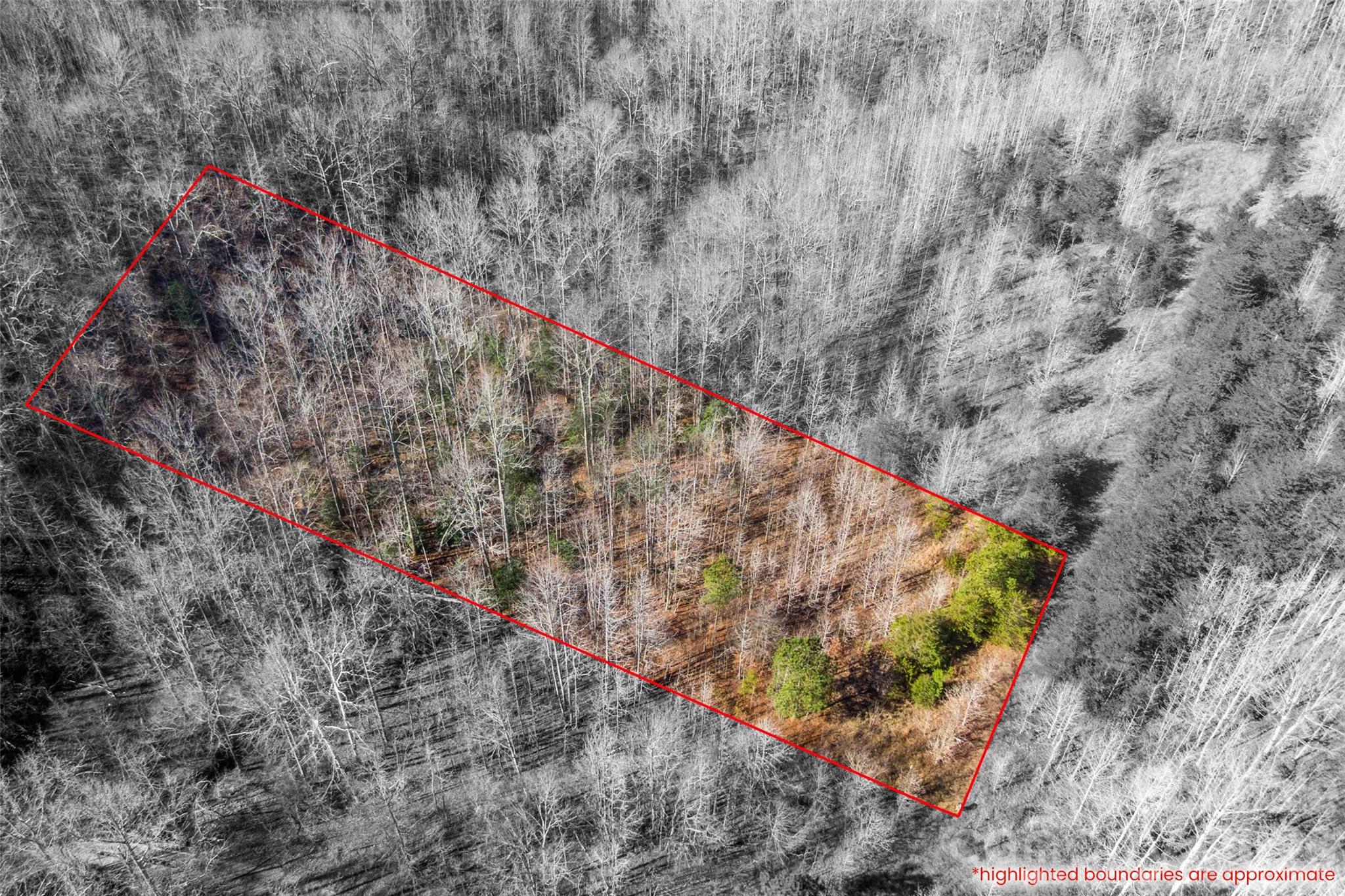 0 W Pasture Drive Ellenboro NC 28040