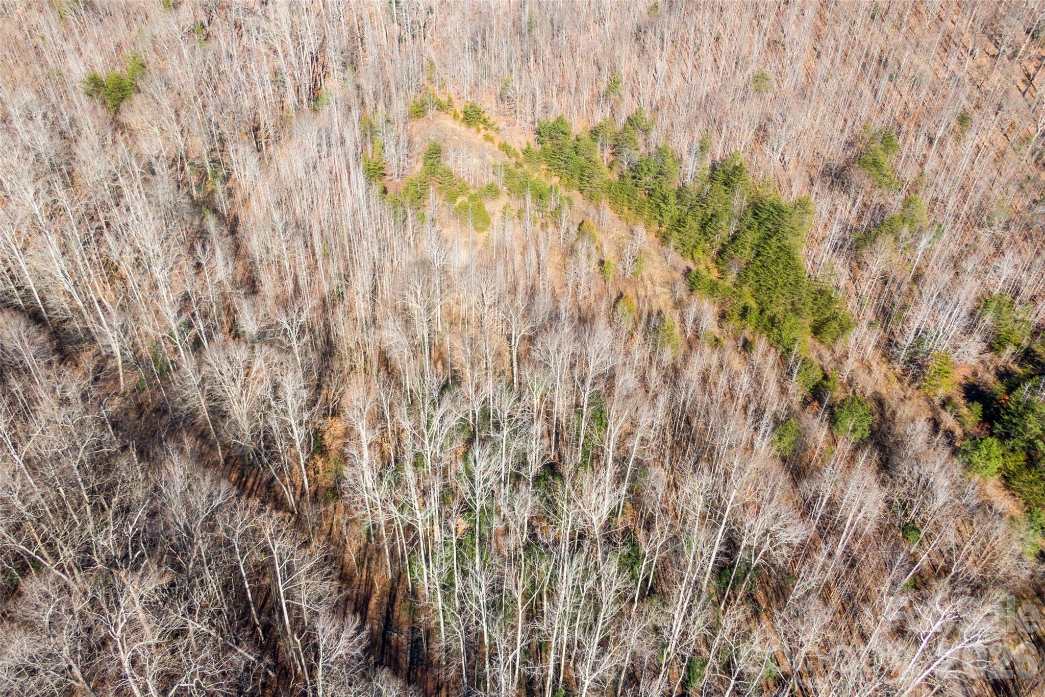 0 W Pasture Drive Ellenboro NC 28040