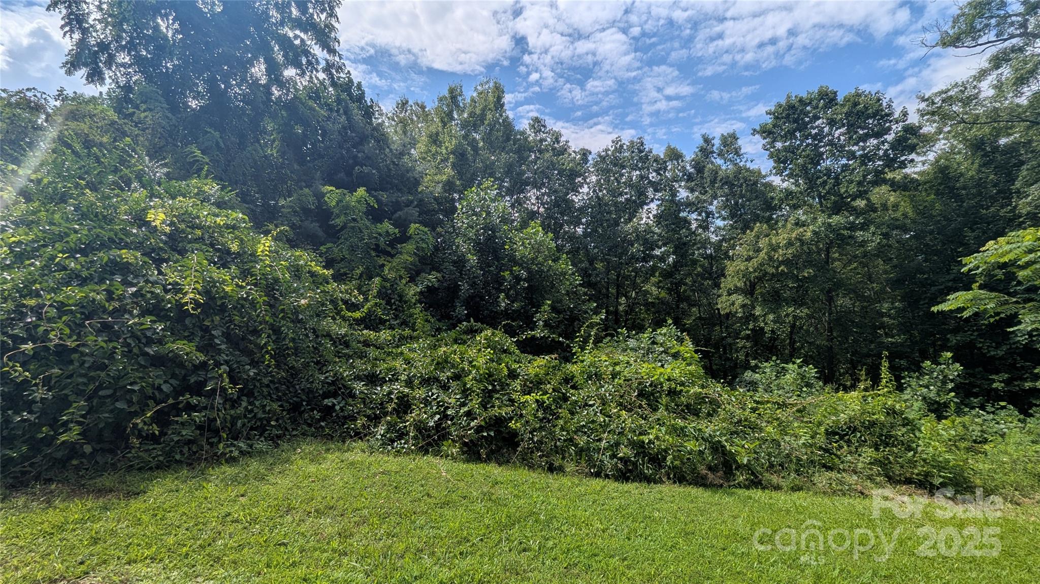 00 Pinewood Drive Waynesville NC 28786