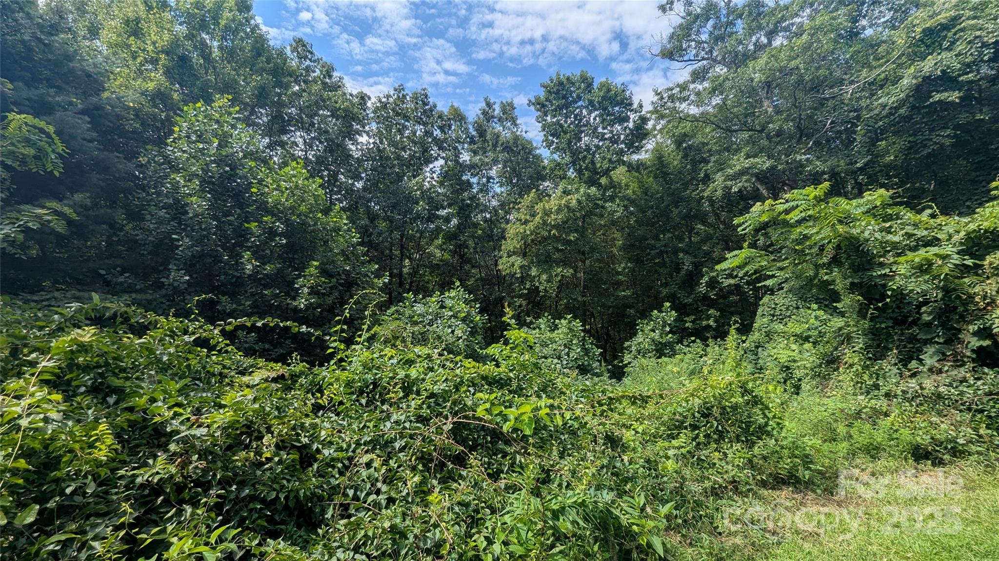 00 Pinewood Drive Waynesville NC 28786