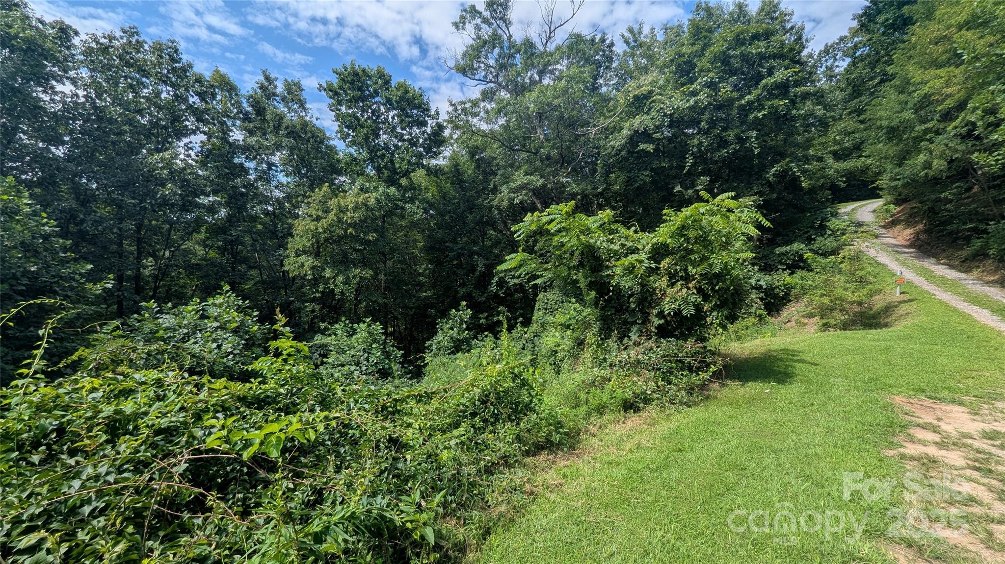 00 Pinewood Drive Waynesville NC 28786