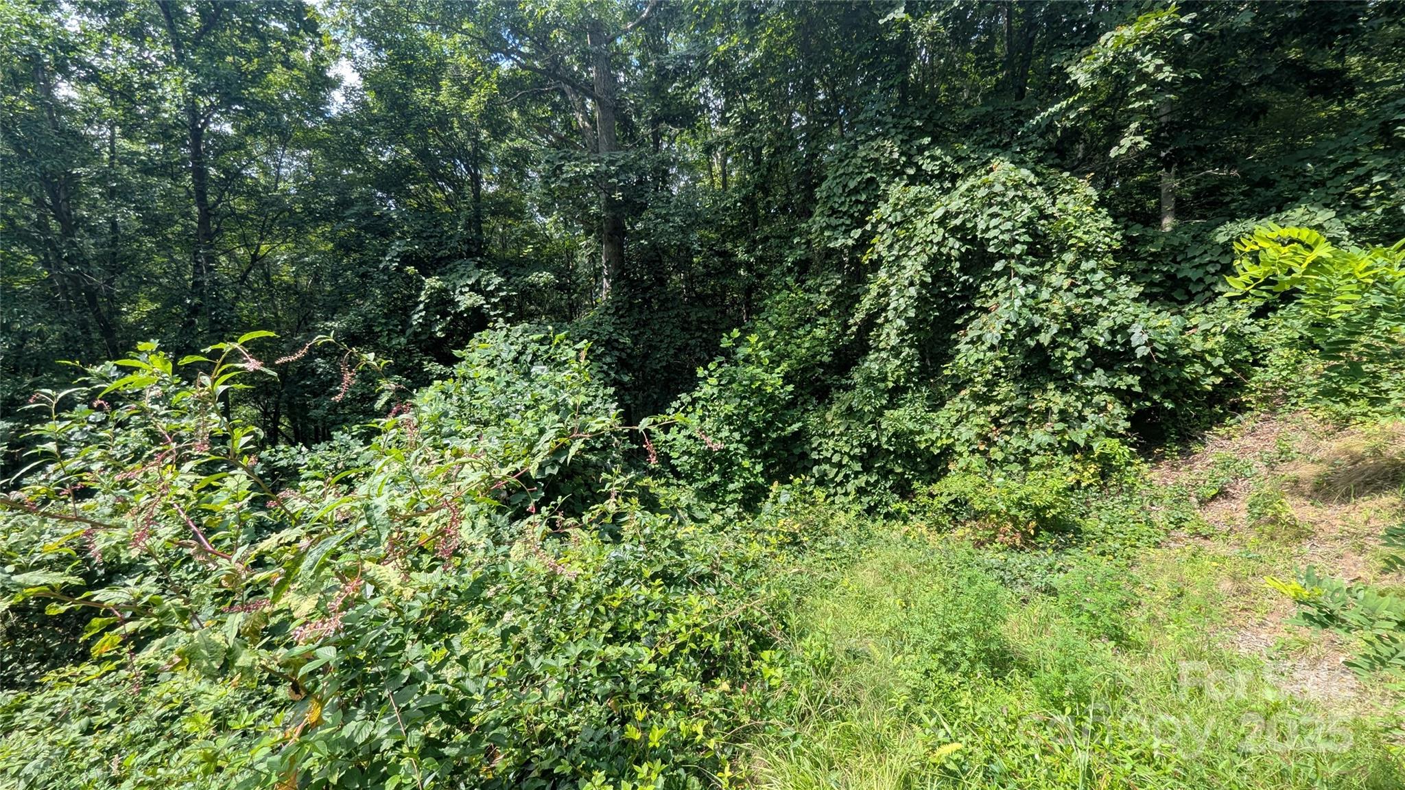 00 Pinewood Drive Waynesville NC 28786