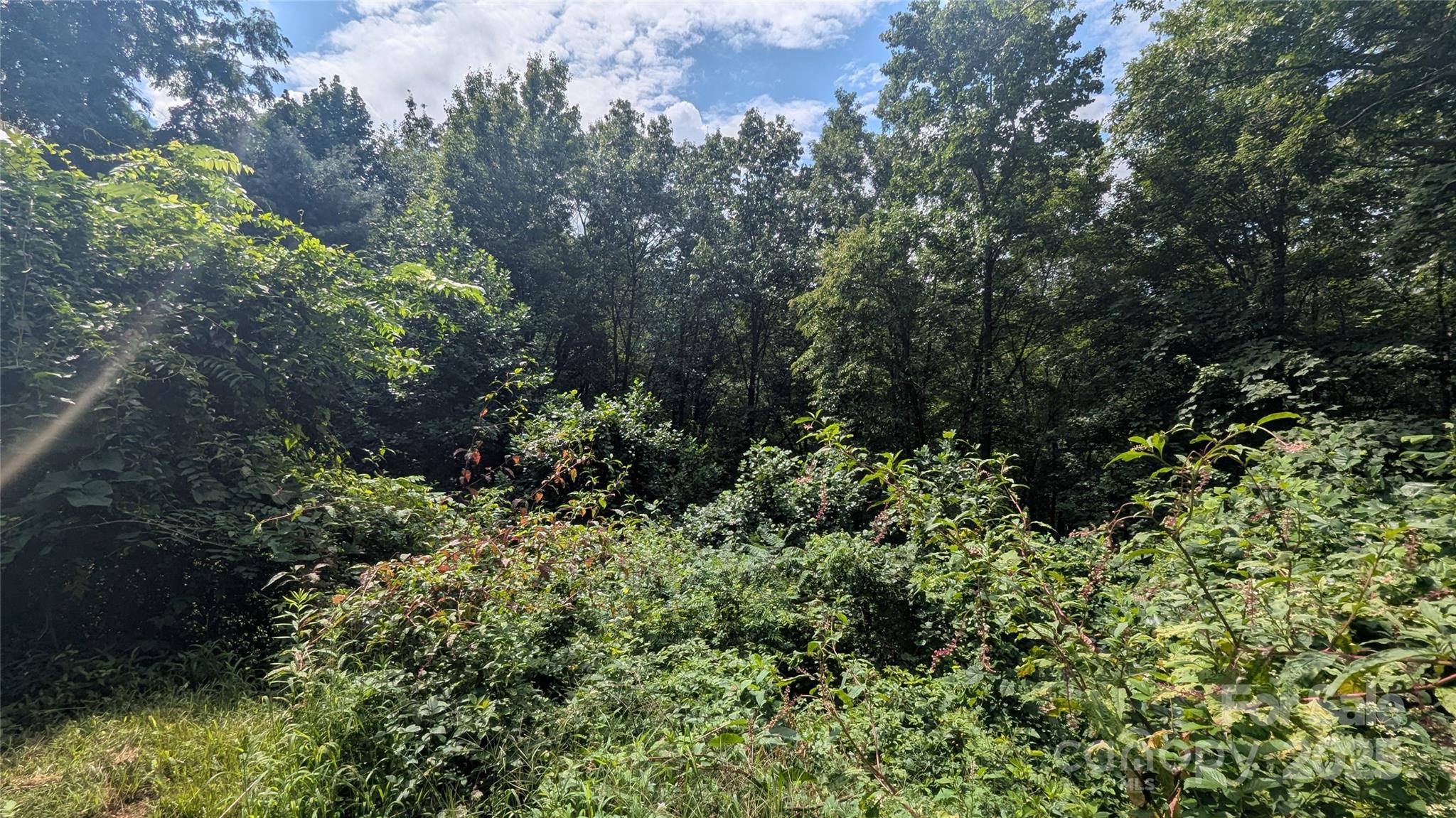 00 Pinewood Drive Waynesville NC 28786