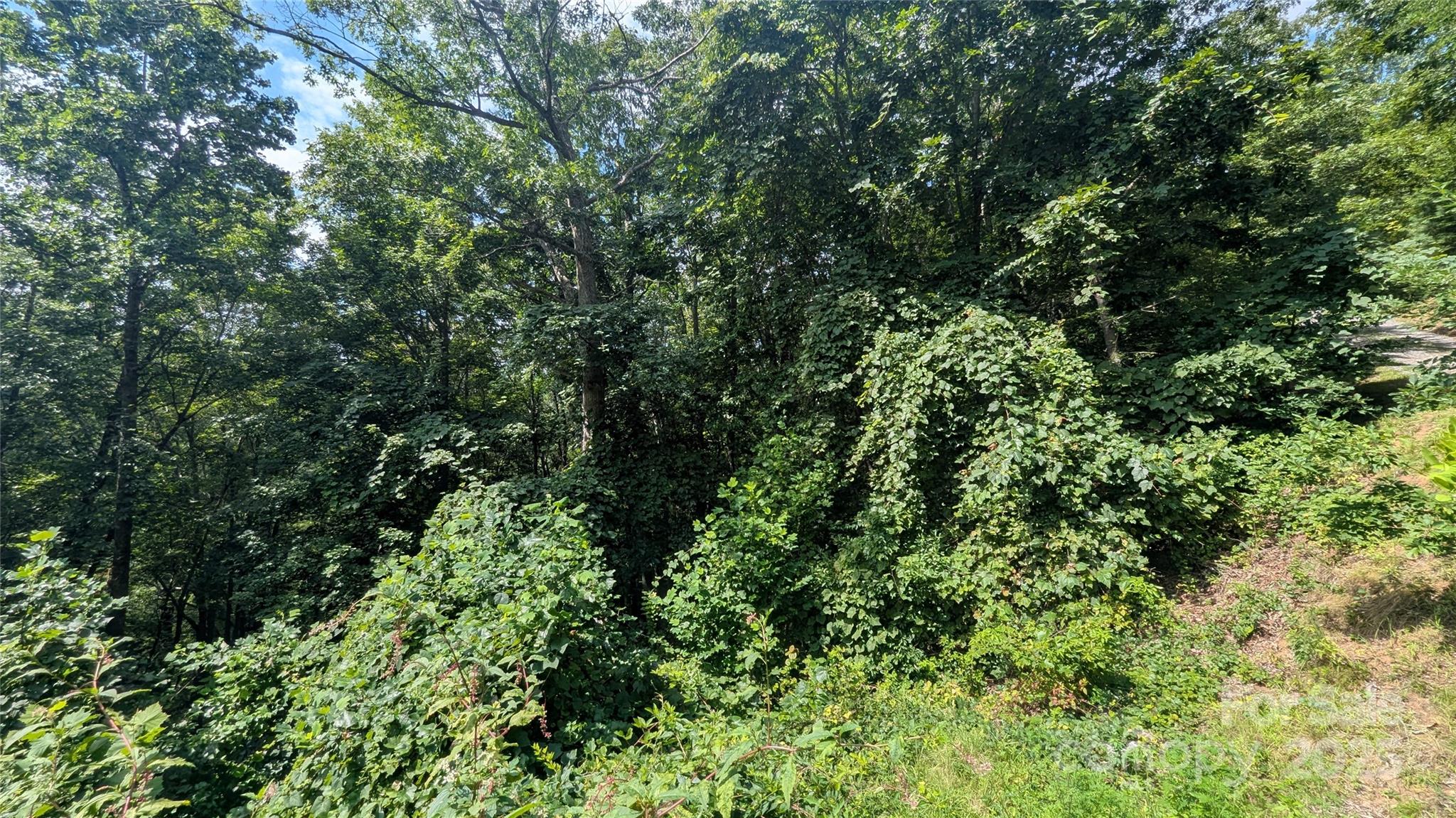 00 Pinewood Drive Waynesville NC 28786