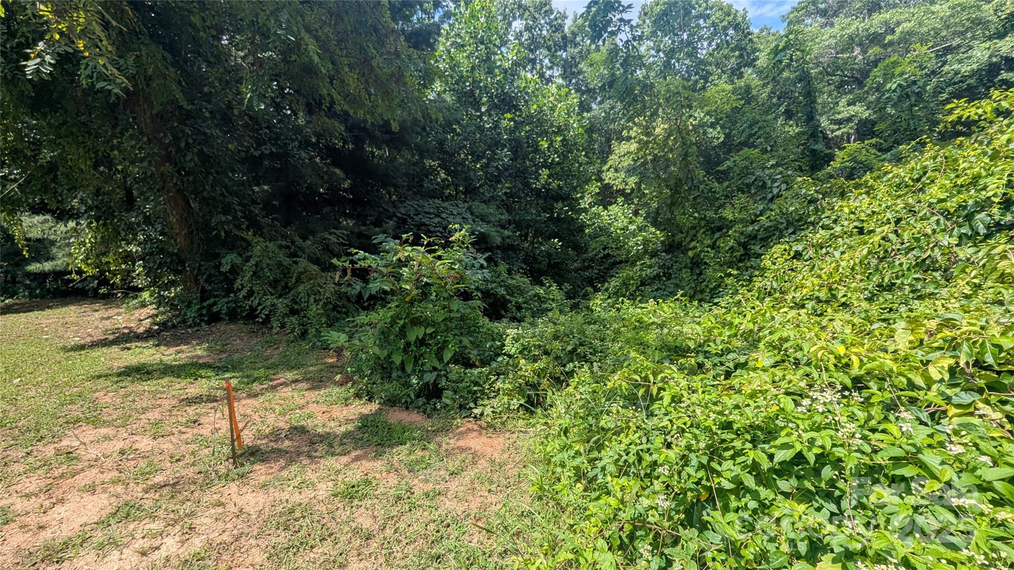 00 Pinewood Drive Waynesville NC 28786