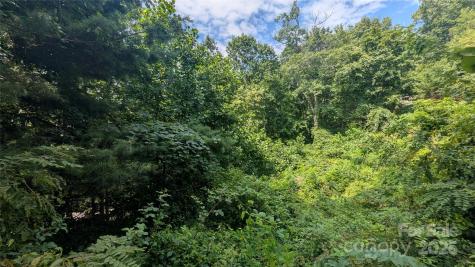00 Pinewood Drive Waynesville NC 28786