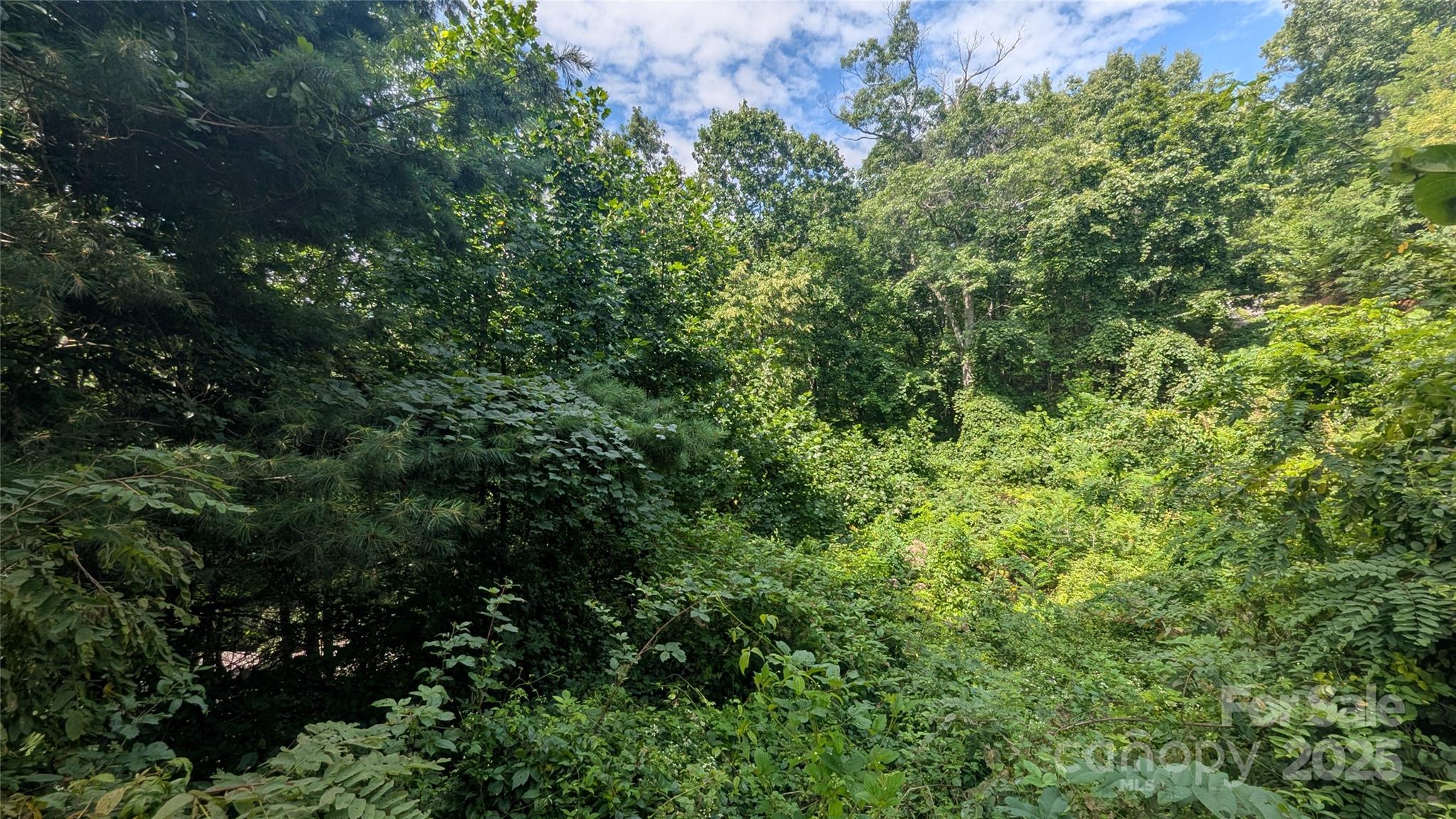 00 Pinewood Drive Waynesville NC 28786