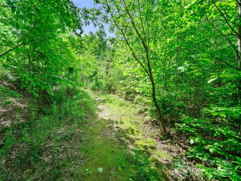 99999 Millbrae Loop S Hendersonville NC 28791